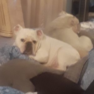 Meet your Posher, Rob